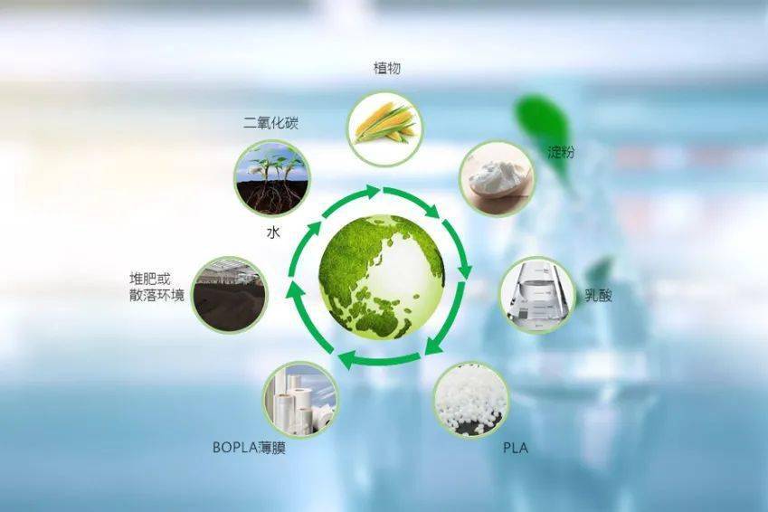 国内首个生物基膜材在厦量产 最快半年内完全降解