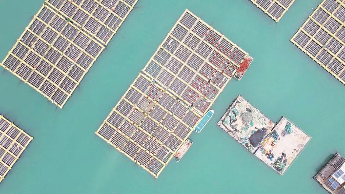 东山持续推进海上养殖综合整治——打造升级版“海上田园”